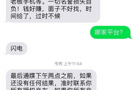 茌平企业清欠服务